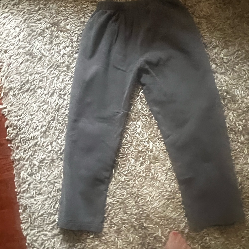Brandy Melville Rosa sweatpants charcoal